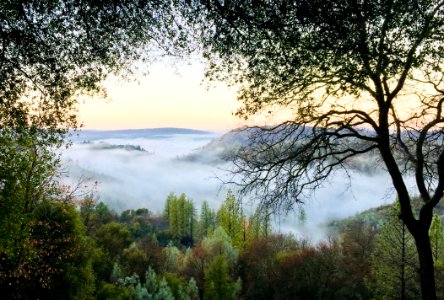Photo Of Mountain Covered With Mist