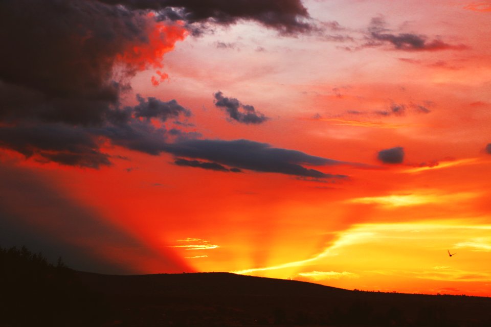 Photography Of Sunset