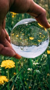 Person Holding Clear Glass Ball photo