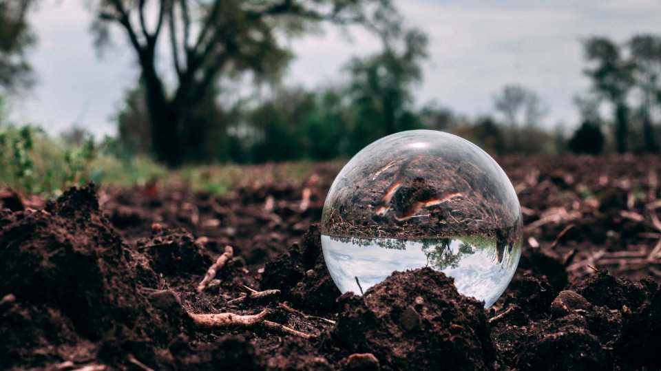 Closeup Photo Of Clear Glass Ball On Soil