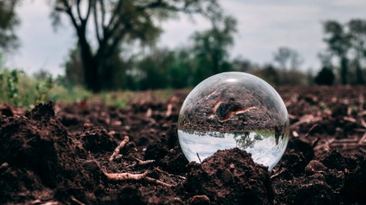 Closeup Photo Of Clear Glass Ball On Soil