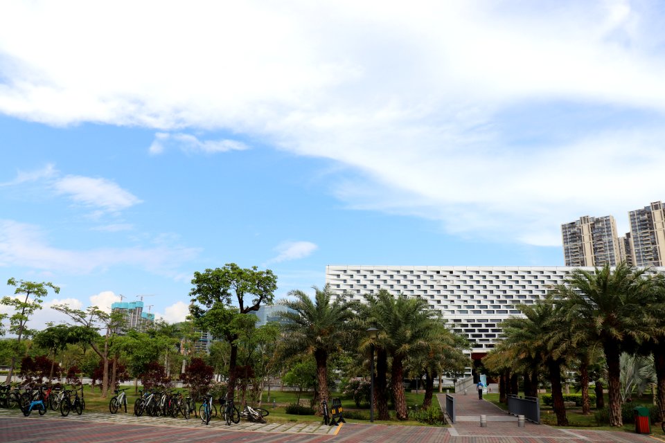 Sky Residential Area Property Condominium