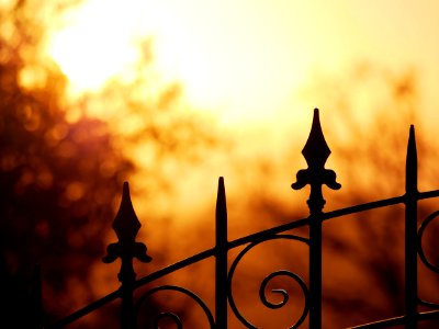 Sky Yellow Morning Sunlight