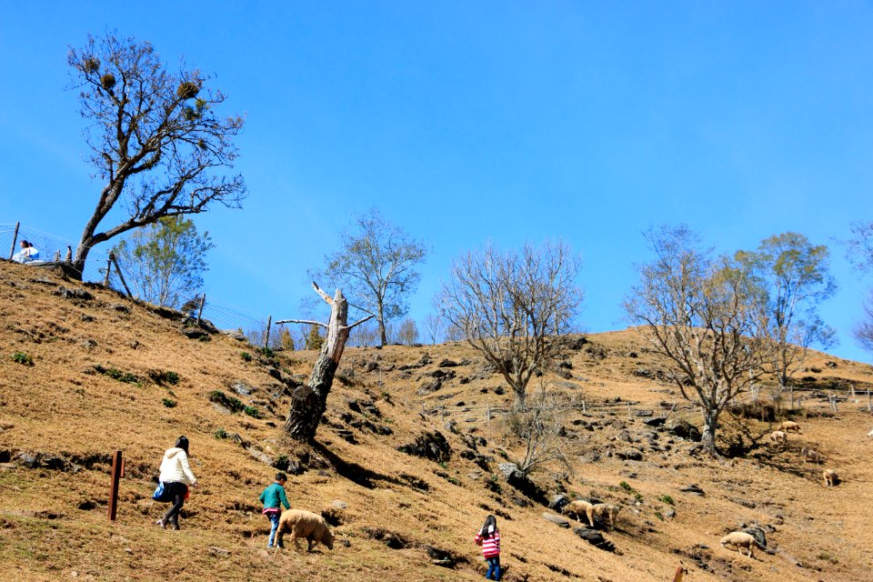 Ecosystem Sky Wilderness Mountainous Landforms photo