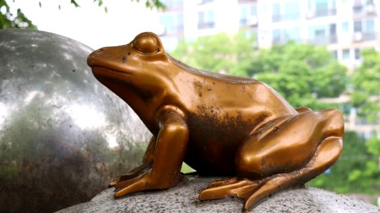 Sculpture Fauna Statue Amphibian