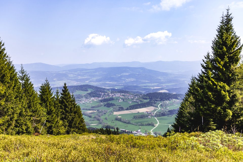 Landscape Photo Of Green Grass Field