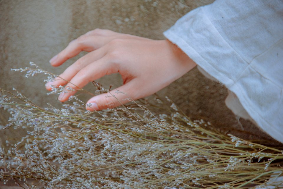 Close-Up Photography Of Hand Near Plants