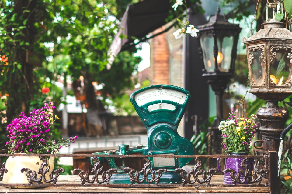 Green Gauge Near Lamps And Plants