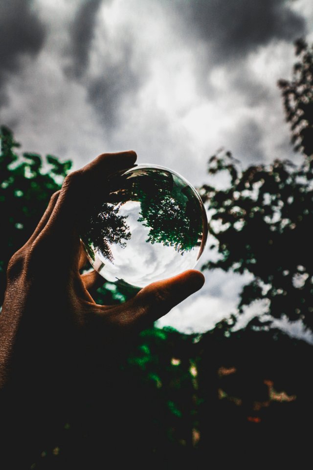 Ball Photography Of Tree Under Gray Sky