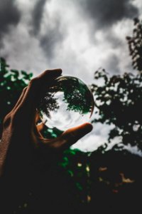 Ball Photography Of Tree Under Gray Sky