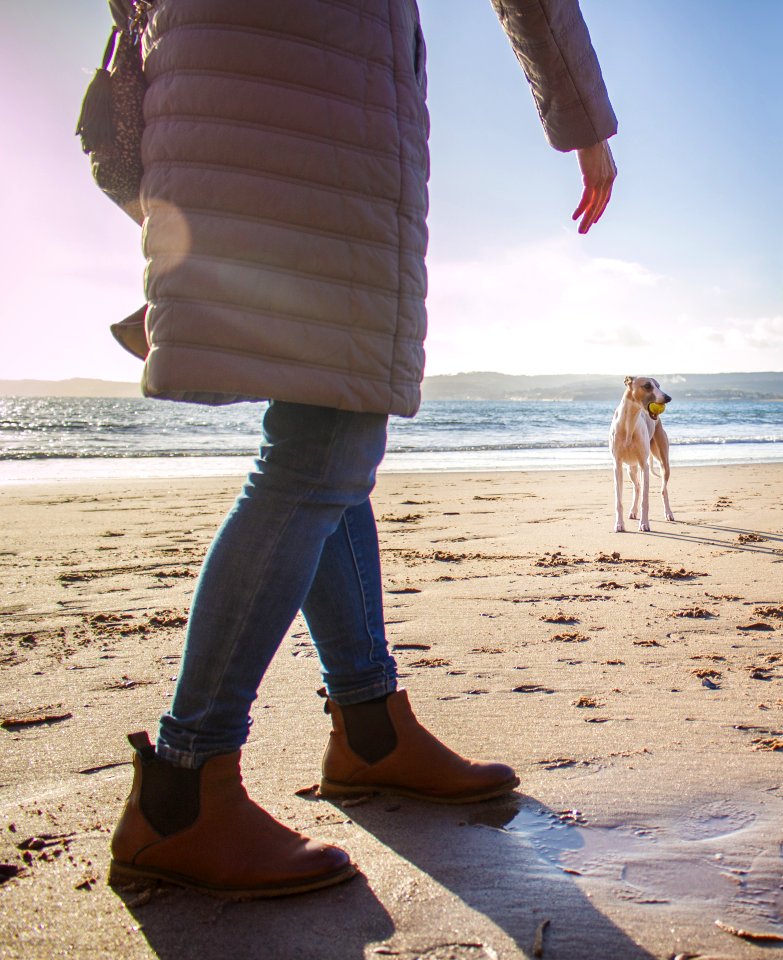 Person In Bubble Coat Walking On Beach Near Dog At Daytime