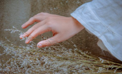 Close-Up Photography Of Hand Near Plant photo