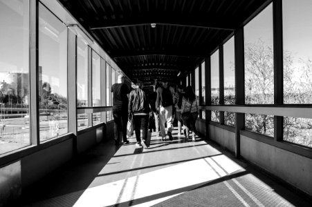 Group Of People Walking Along Pathway photo