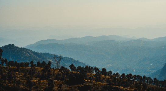 Trees On Mountain At Daytime Landscape Photography