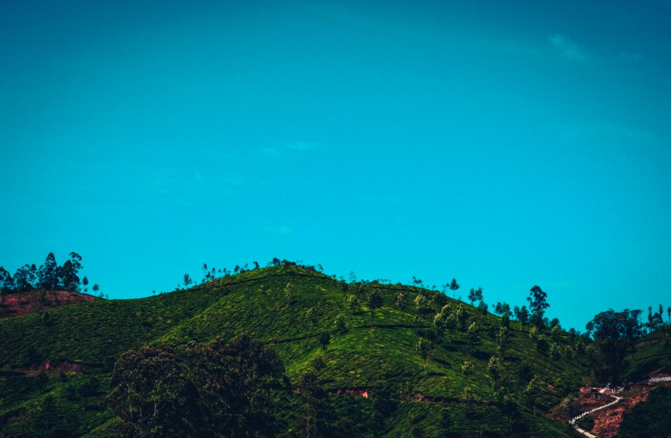 Green Forest Mountain Under Clear Sky
