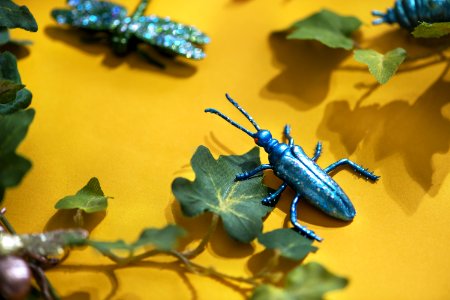 Plastic Insect Among Green Leaves photo