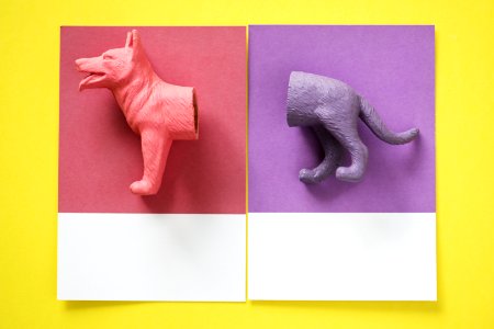 Color Miniature Dog Figure Model photo