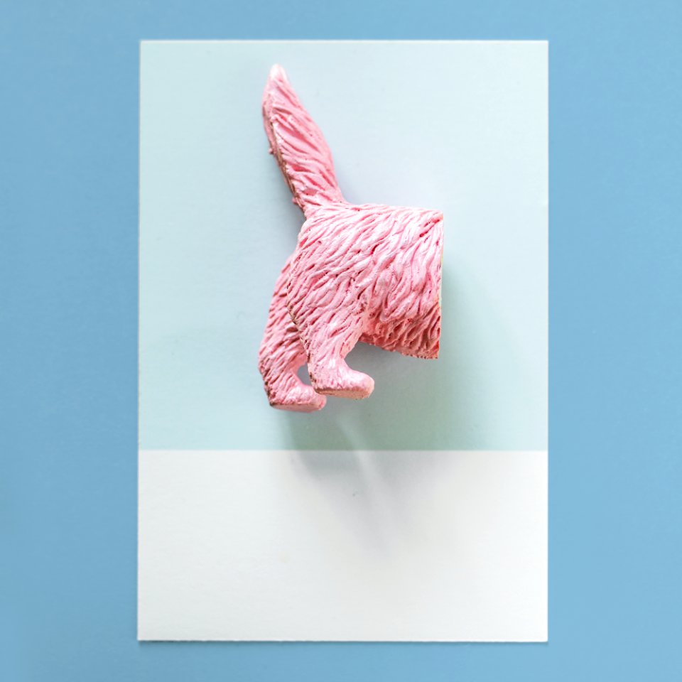 Half A Cat On A Colorful Paper