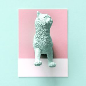 Half A Cat On A Colorful Paper photo