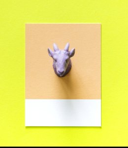 Colorful Goat Figure On A Paper photo