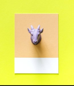 Colorful Goat Figure On A Paper