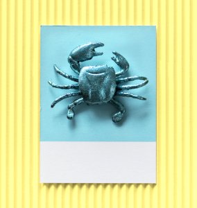 Little Cute Crab On A Paper photo