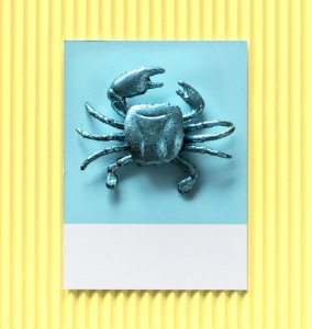 Little Cute Crab On A Paper