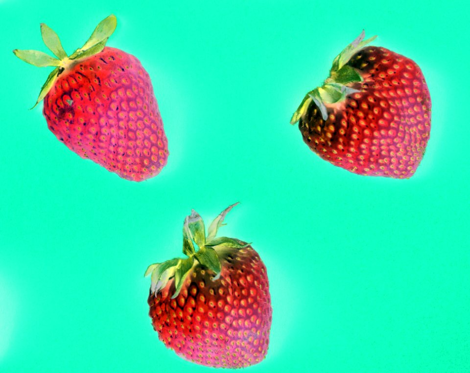 Macro Of Yummy Strawberries On Green Background