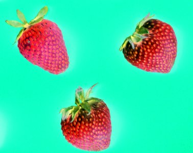 Macro Of Yummy Strawberries On Green Background