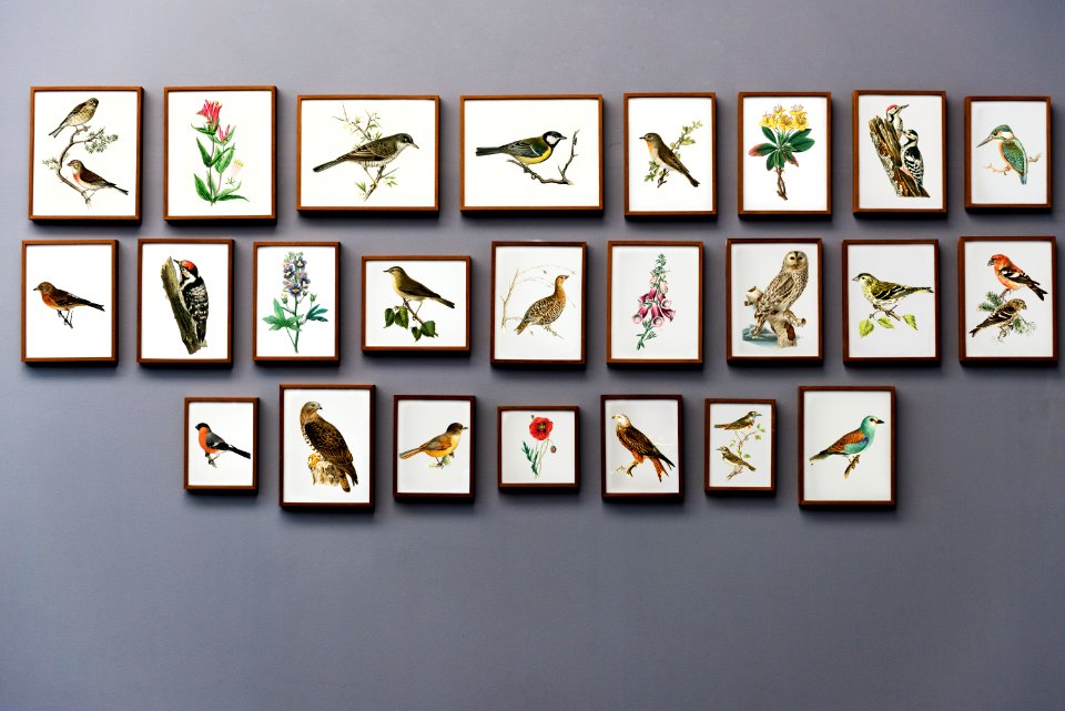 Art Gallery Antique Frame Concept