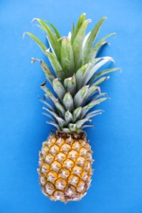 Aerial View Of Pineapple Blue Background