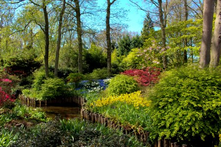 Nature Plant Garden Vegetation