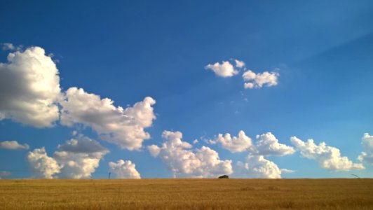 Sky Grassland Cloud Ecosystem photo