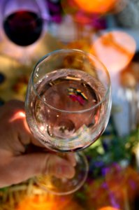 Drink Alcoholic Beverage Wine Glass Stemware photo