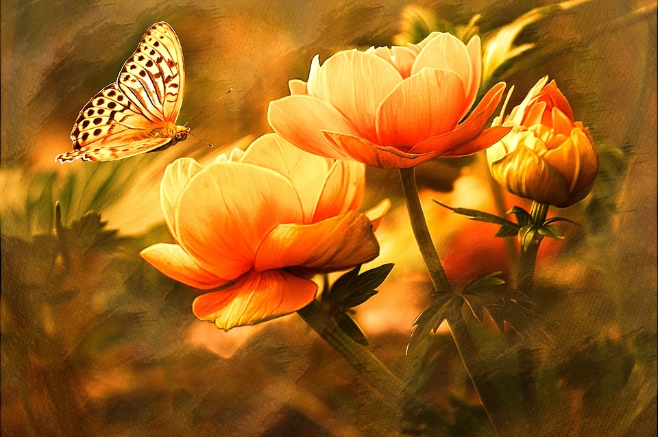 Image editing orange painting