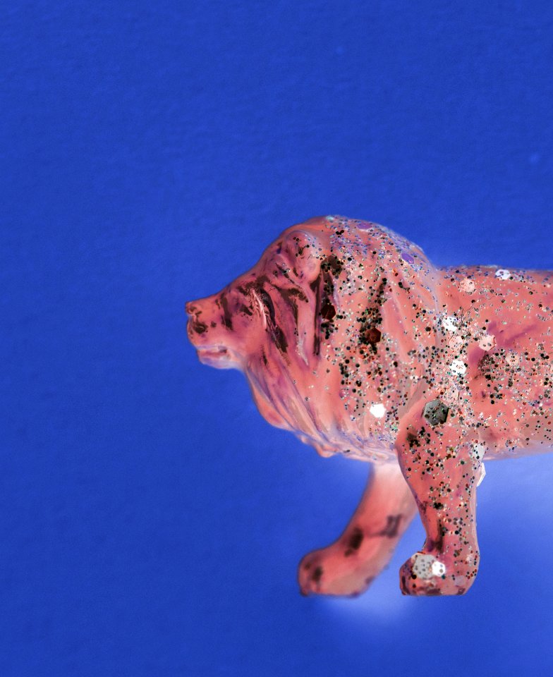 Aerial Animal Background