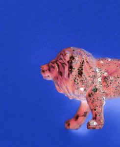 Aerial Animal Background