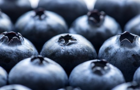 Antioxidant Background Berry photo