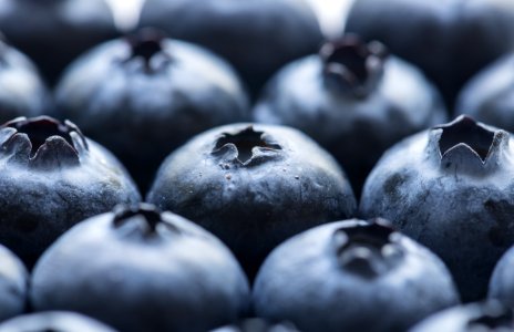 Antioxidant Background Berry