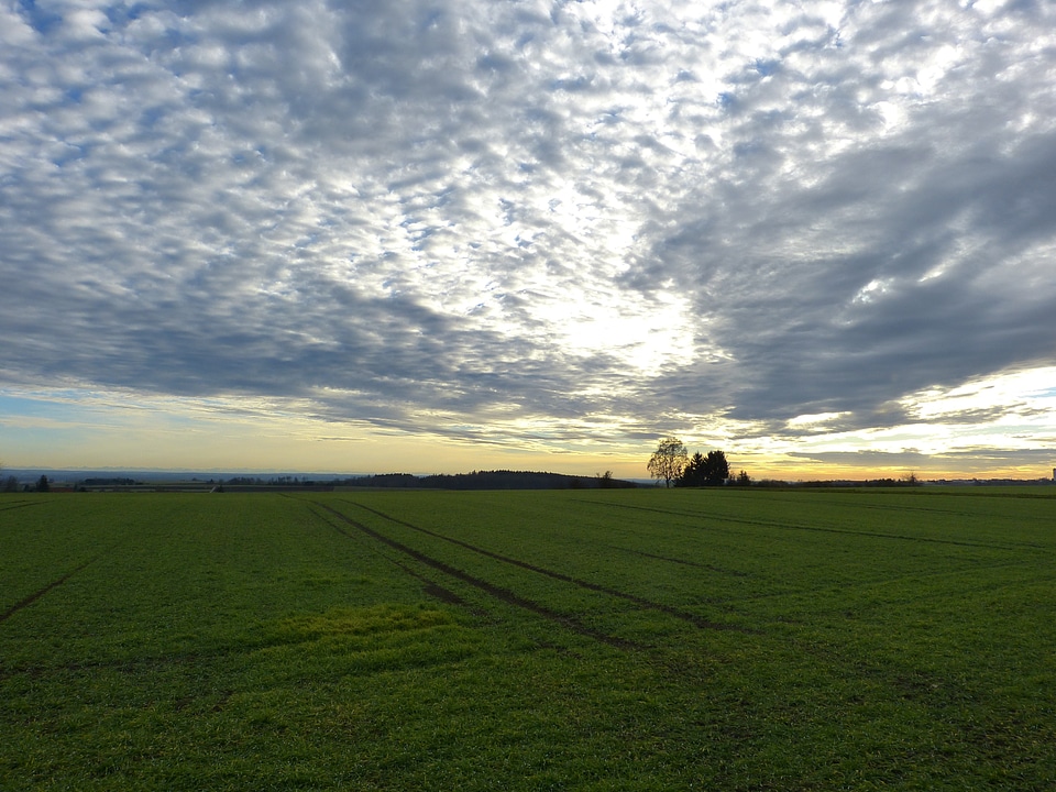 Evening evening sky landscape