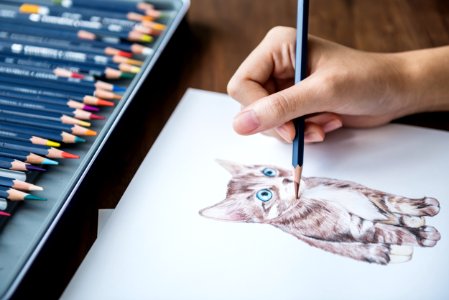 Person Sketching A Kitten
