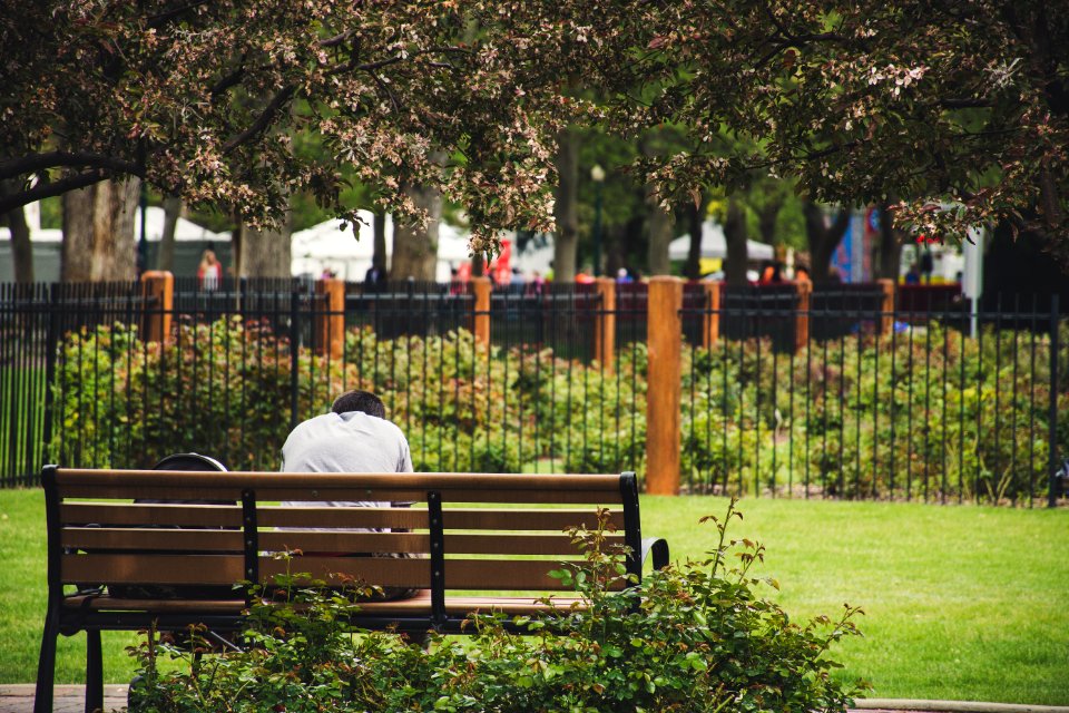 Person Sitting On Brown Wooden Bench