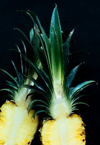 Sliced Pineapple Fruit photo