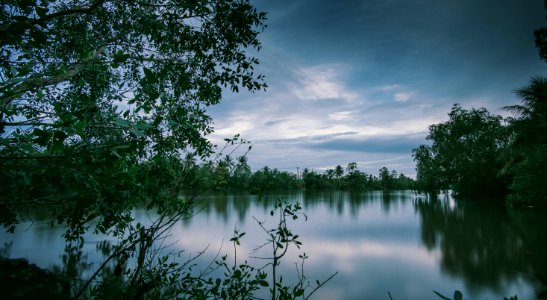 Photography Of Lake