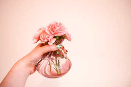 Person Holding Clear Glass Flower Vase With Pink Flowers photo