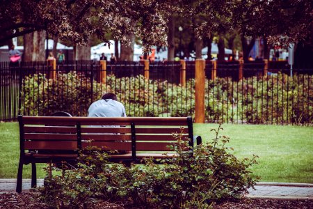 Photo Of Person Sitting On Brown Bench