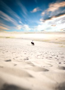 Man Riding Horse