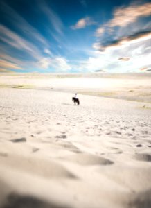 Man Riding Horse photo