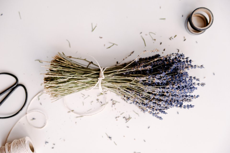 Lavender Flower Bouquet On White Surface