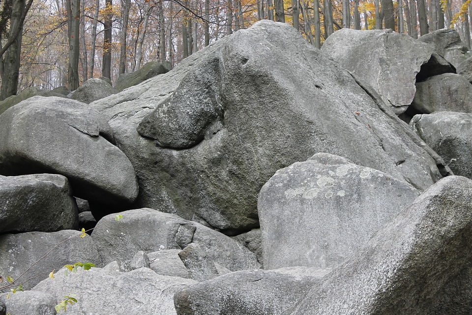 Rock sea odenwald autumn